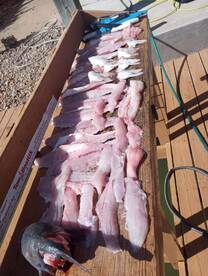 Seabrook Report Photo 4