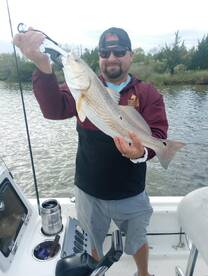 Seabrook Report Photo 3