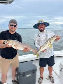 Holmes Beach Report Photo 2