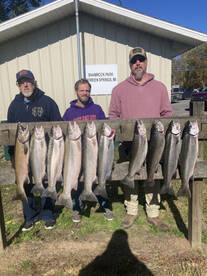 Michigan Report Photo 2