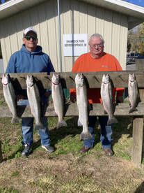 Berrien Springs Report Photo 2