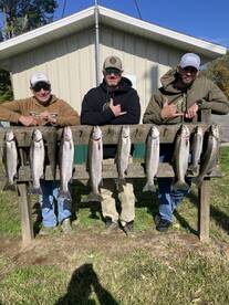 Michigan Report Photo 1