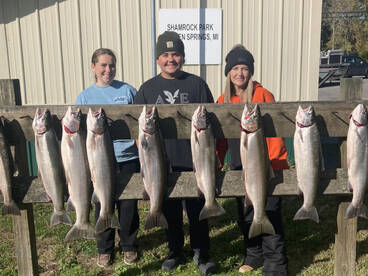 Berrien Springs Report Photo 2