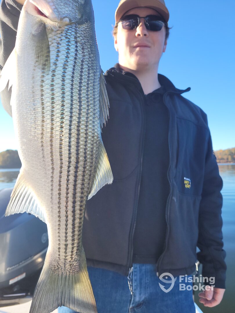 Henry County Report Photo 0