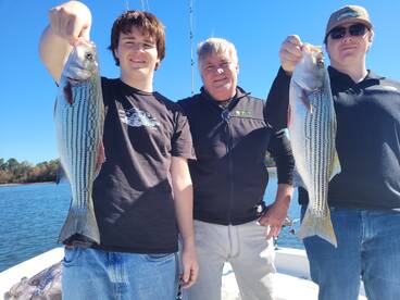 Henry County Report Photo 3