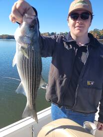 Henry County Report Photo 1