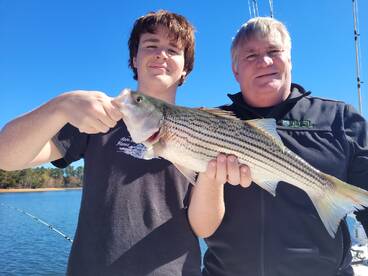 Henry County Report Photo 4