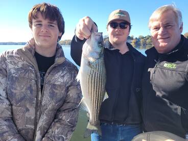 Henry County Report Photo 2