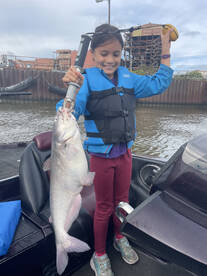 Loudoun County Report Photo 4