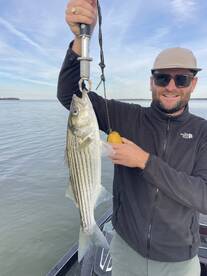 Loudoun County Report Photo 2