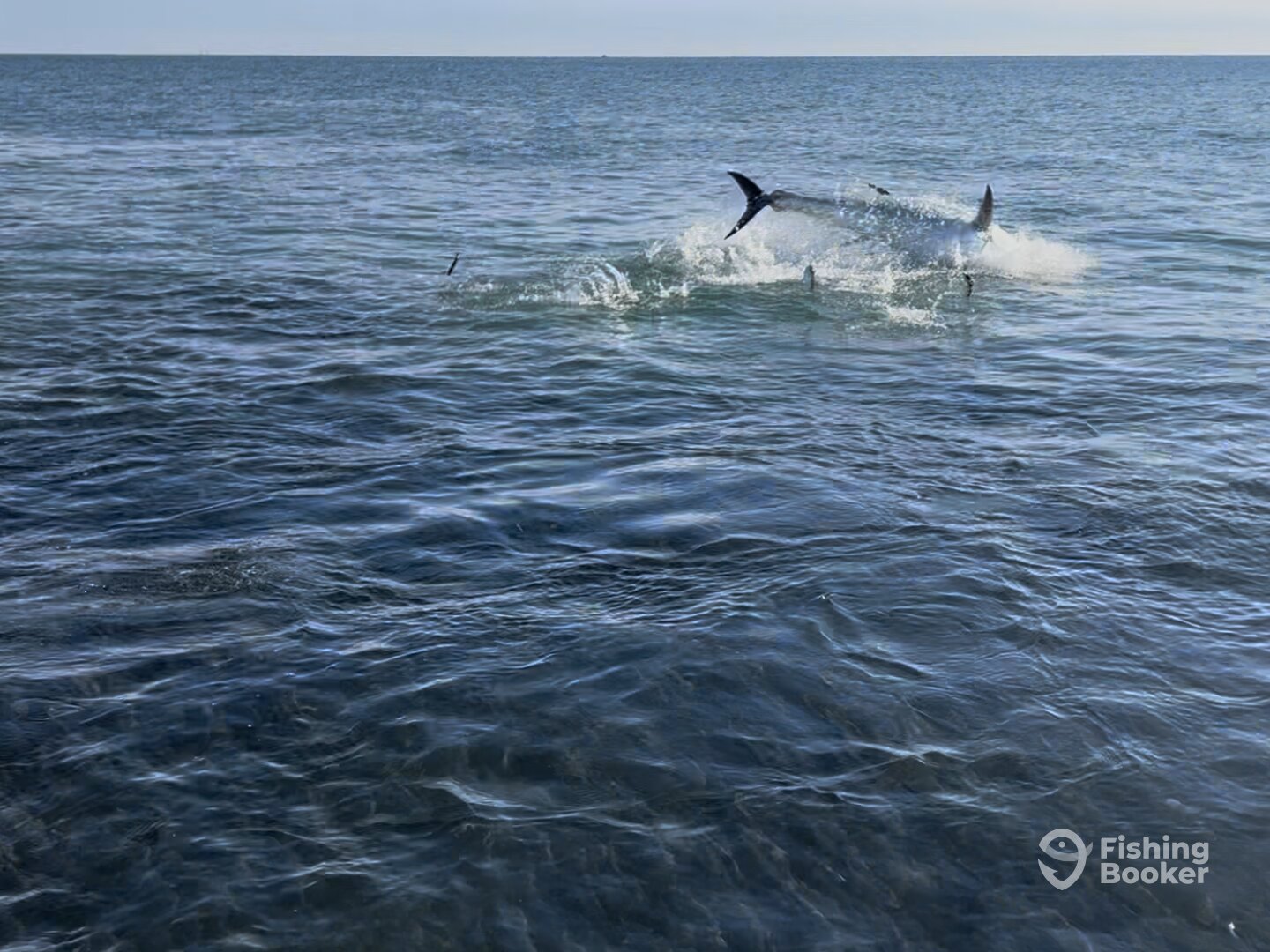 New Jersey Report Photo 0