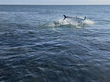 Middlesex County Report Photo 2