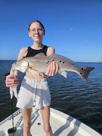 Sarasota Report Photo 2