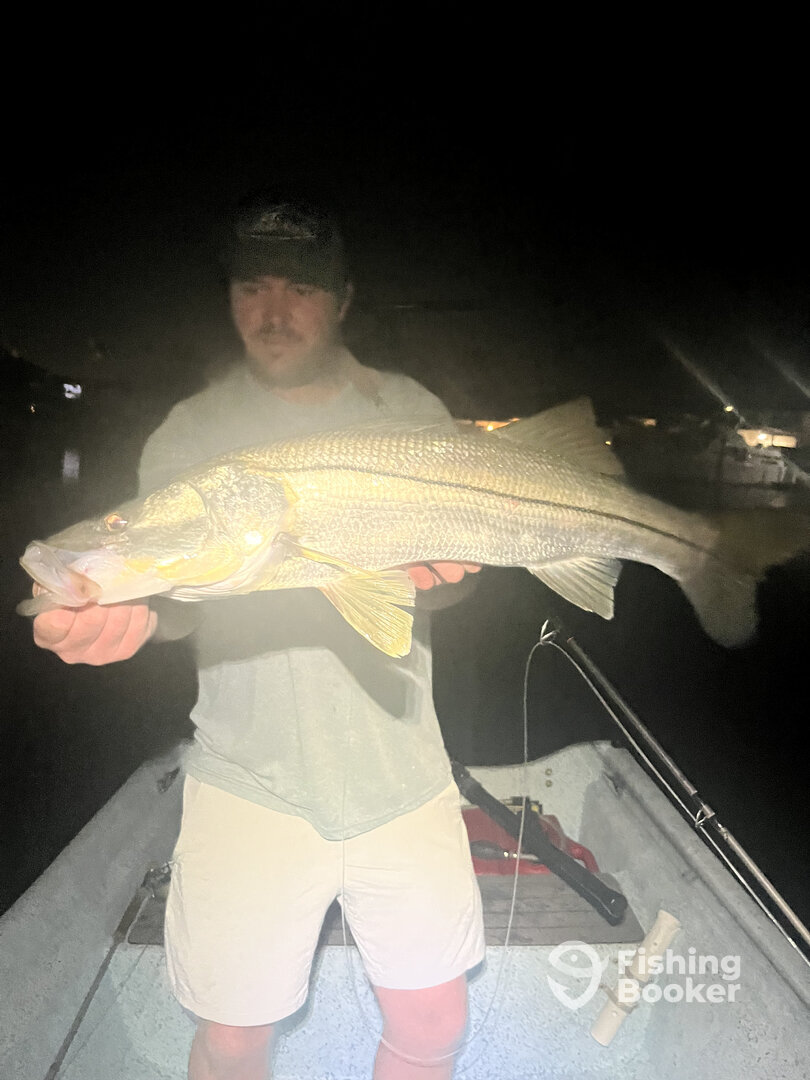 St. Petersburg Report Photo 0