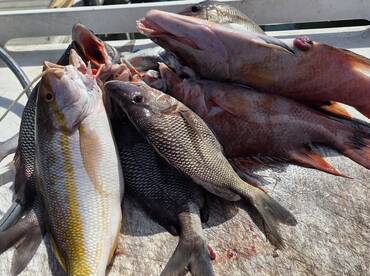 Fort De Soto Report Photo 1