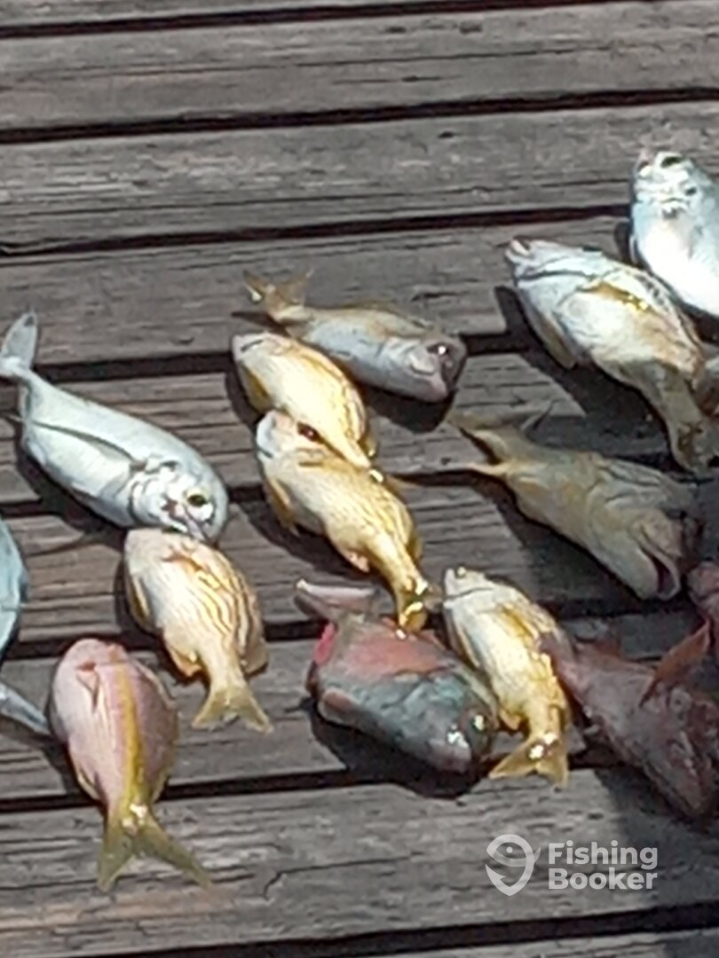 Oranjestad Report Photo 0