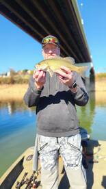 Grainger County Report Photo 4