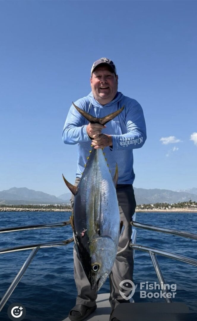 San Jose del Cabo Report Photo 0