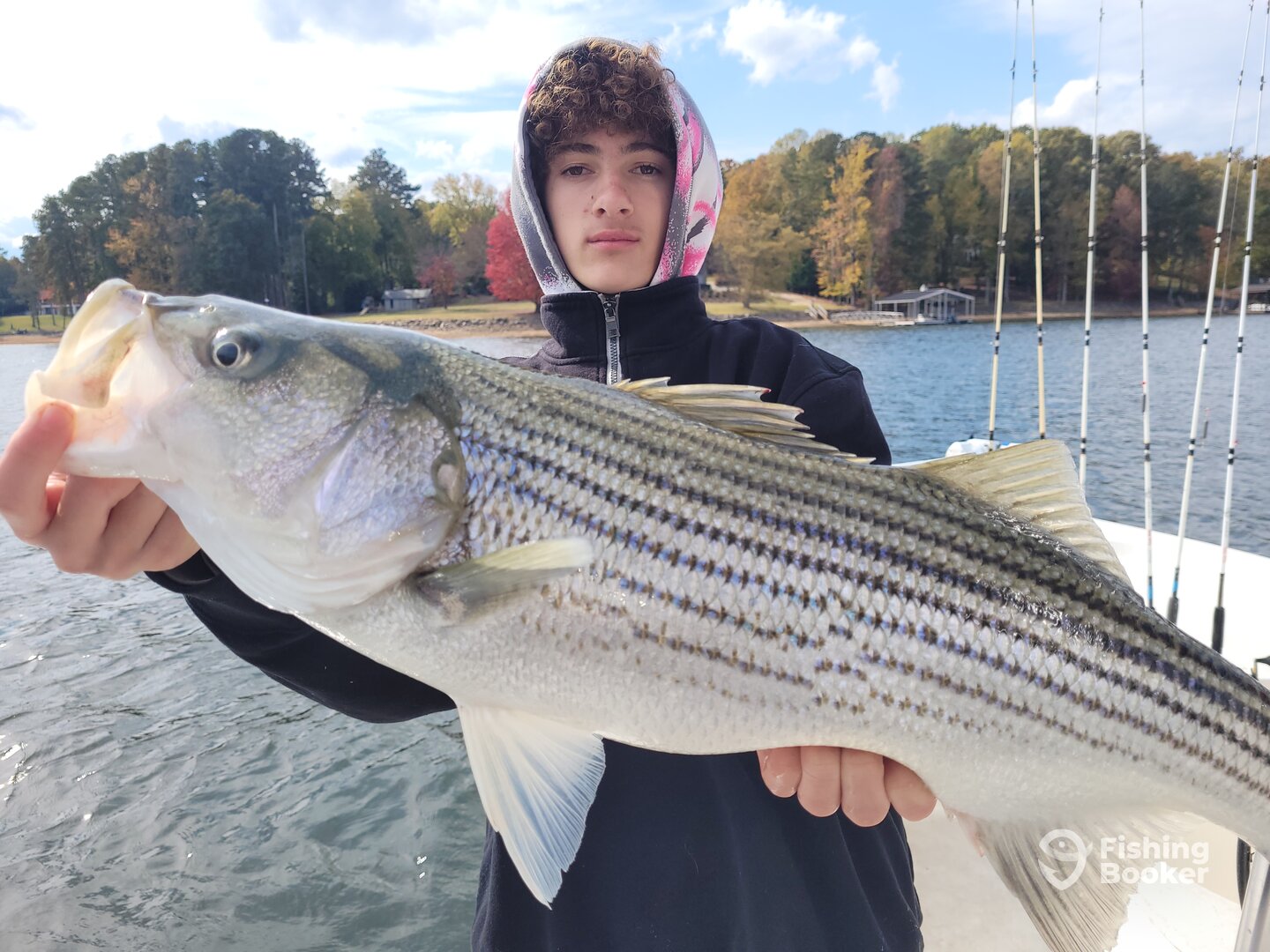 Gainesville Report Photo 0