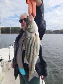 Gainesville Report Photo 1