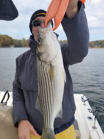 Gainesville Report Photo 2