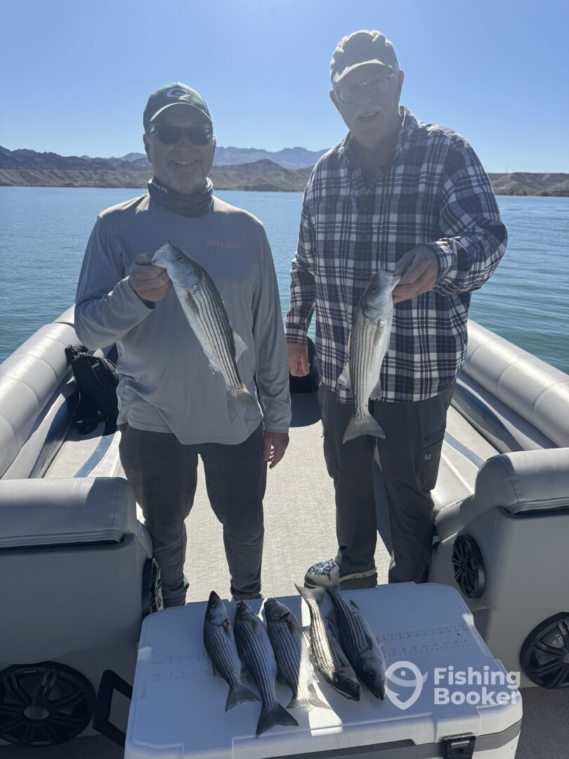 Lake Havasu City Report Photo 0