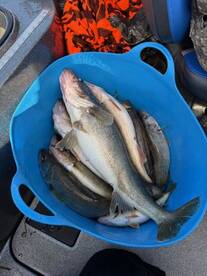 Wayne County Report Photo 2