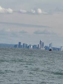 Wayne County Report Photo 3