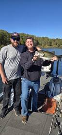 Top water destruction