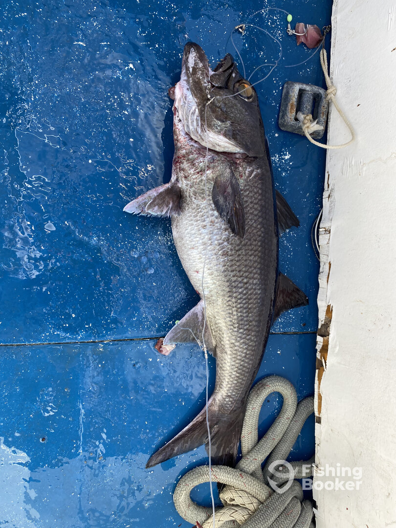 West End Report Photo 0