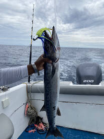 West End Report Photo 2