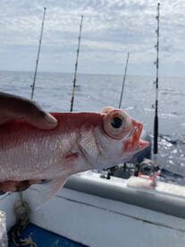 West End Report Photo 3