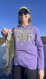 Carroll County Report Photo 2