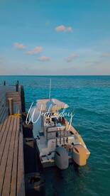 Baa Atoll Report Photo 4