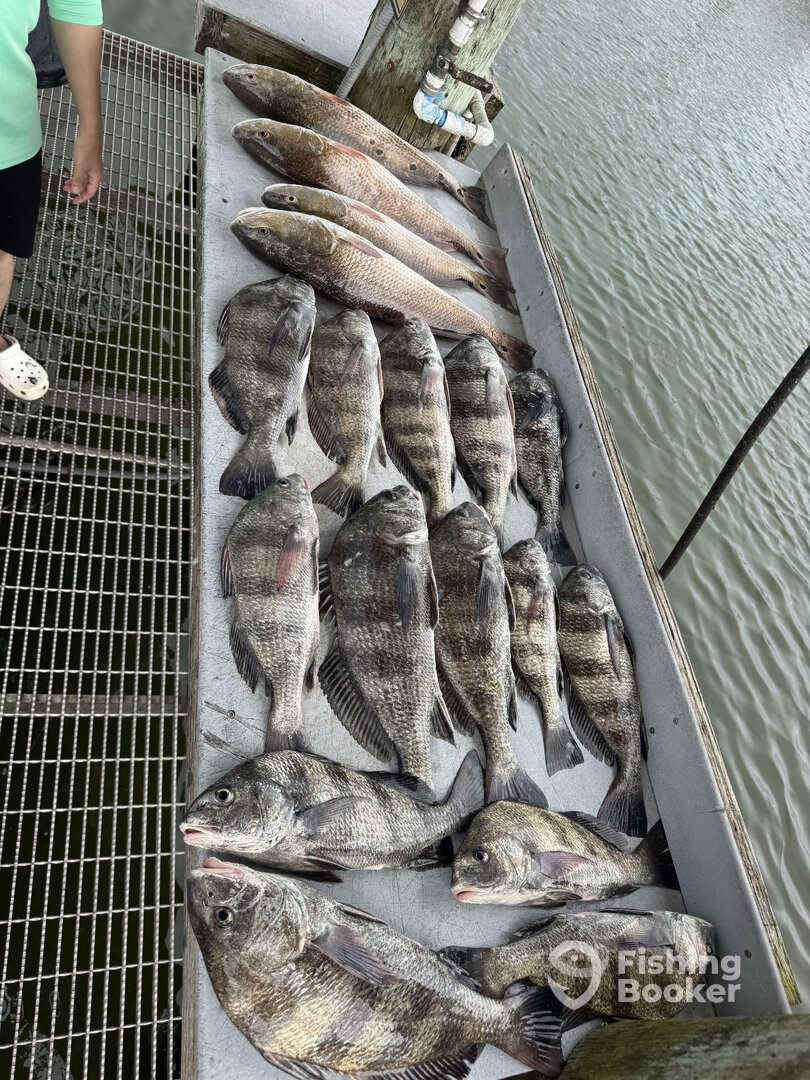 St. Augustine Report Photo 0