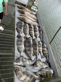 Flagler County Report Photo 3