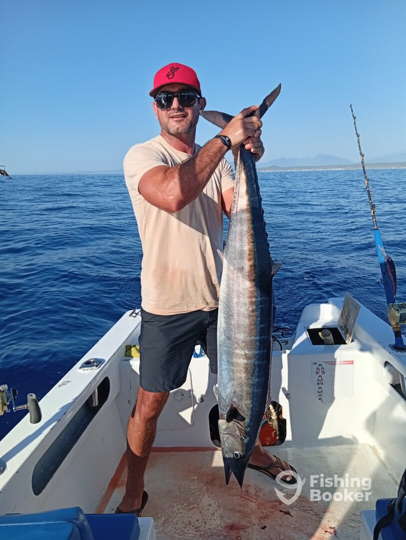 San Jose del Cabo Report Photo 0