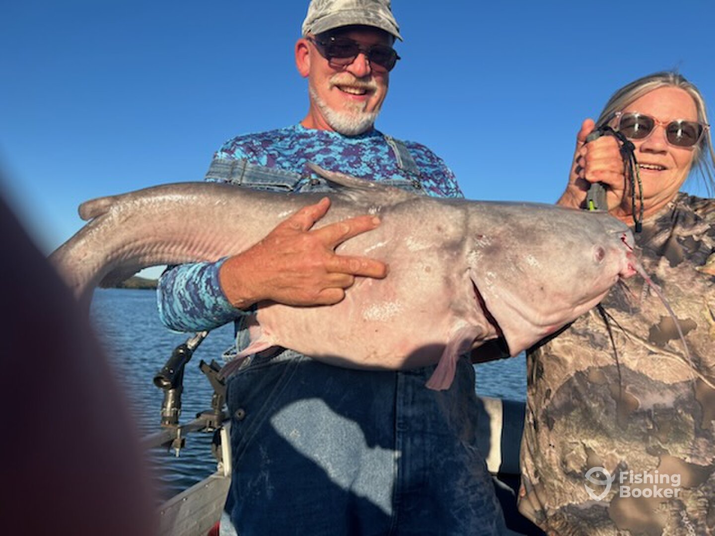 Kingston Report Photo 0