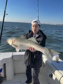 New York Report Photo 1