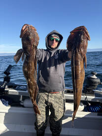 Trophy Lingcod season!!