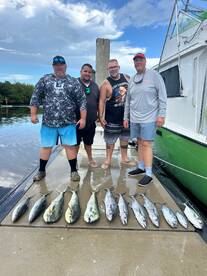 Dania Beach Report Photo 1