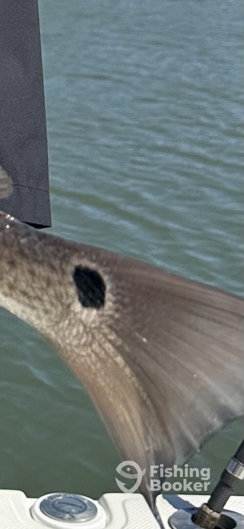 Broad Creek Marina Report Photo 0