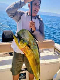 Gulf of California Report Photo 2