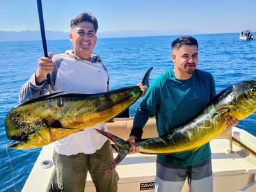 6 hours trip-inshore