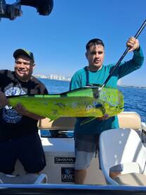 Puerto Vallarta Report Photo 2