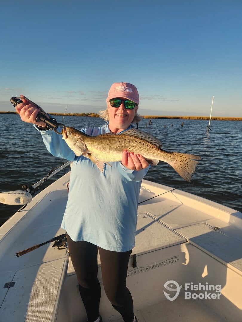 Chandeleur Islands Report Photo 0