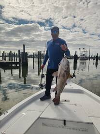 Chandeleur Islands Report Photo 1