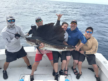 Everglades Report Photo 2