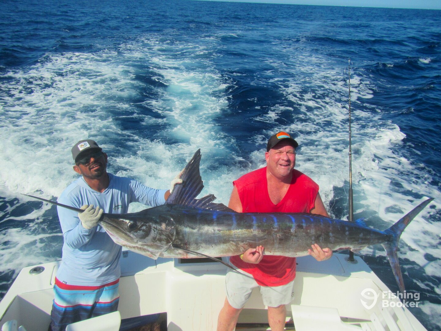 Cabo San Lucas Report Photo 0