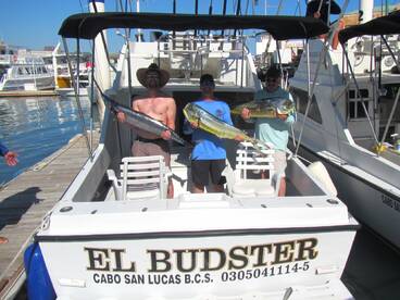 Baja California Sur Report Photo 4